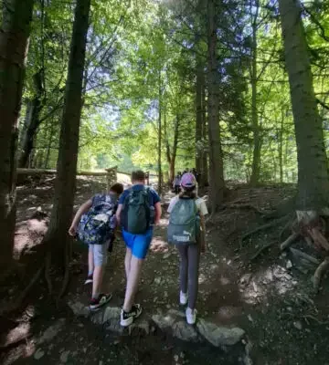 Uczniowie z Lipiec Reymontowskich odkrywali Pieniny