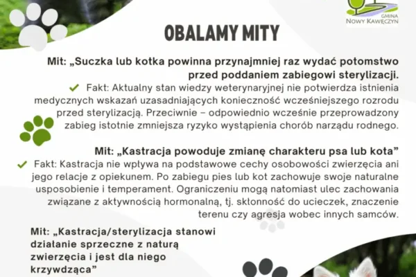 Odpowiedzialna opieka nad zwierzętami – apel gminy o sterylizację i czipowanie