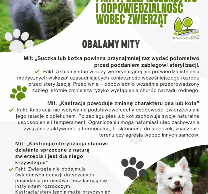 Odpowiedzialna opieka nad zwierzętami – apel gminy o sterylizację i czipowanie