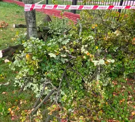Skierniewice: Strażacy podsumowali tydzień interwencji – wichury i zagrożenia atmosferyczne