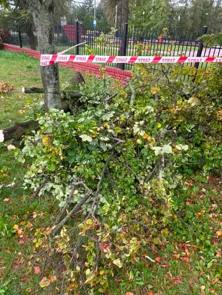 Skierniewice: Strażacy podsumowali tydzień interwencji – wichury i zagrożenia atmosferyczne