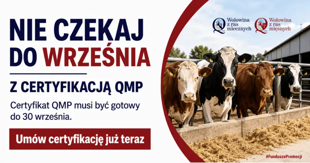 Hodowcy bydła: certyfikat QMP do 30 września, aby otrzymać dopłaty dobrostanowe