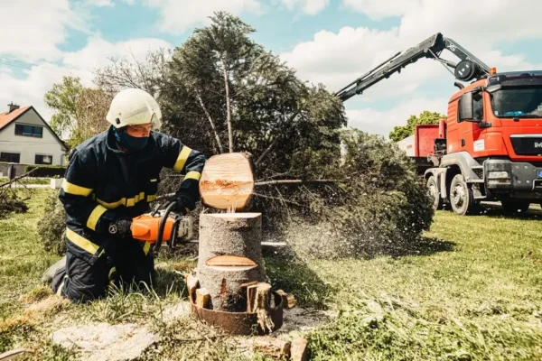 OSP Bolimów podsumowuje serię interwencji związanych z drzewami