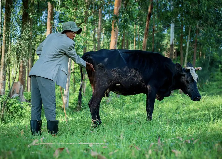 Certyfikat QMP: rolnicy mają czas tylko do 30 września 2026 r.